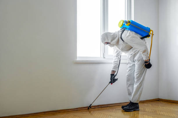 Best Pest Exclusion Services  in Freedom, PA